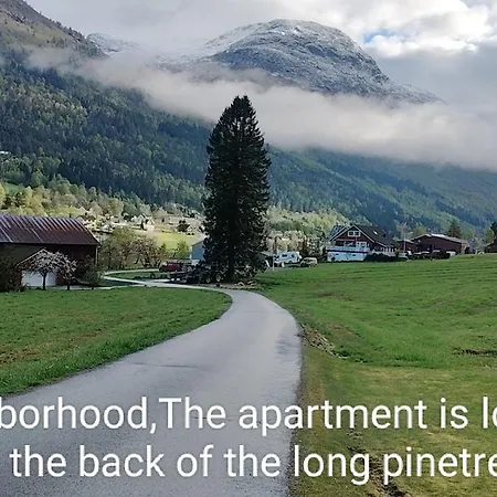 Apartmán 2-bedroom Stryn, Norway